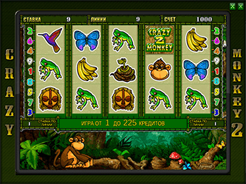 Crazy Monkey 2