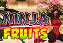 Слот Ninja Fruits – секретные единоборства на деньги