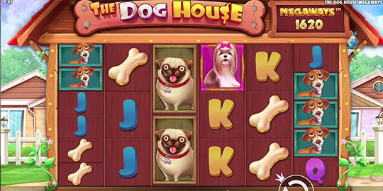The Dog House Megaways